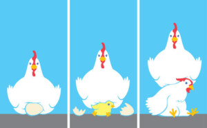 Courtesy New York Times learning blog