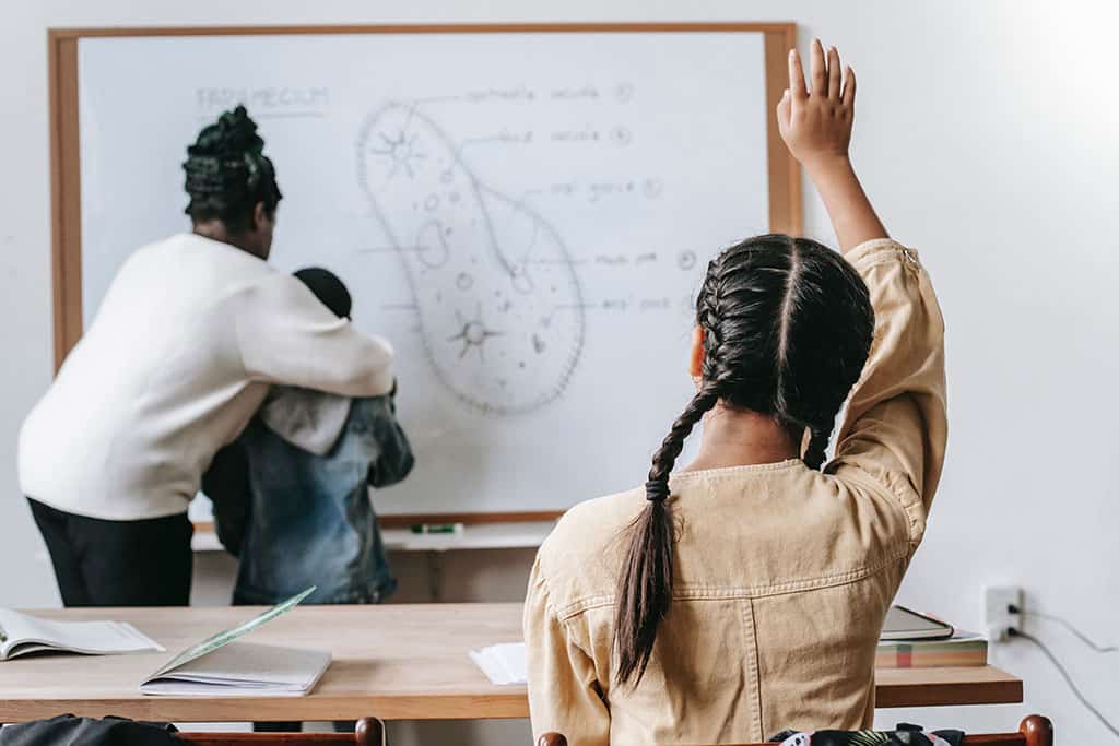 Self Advocating Student